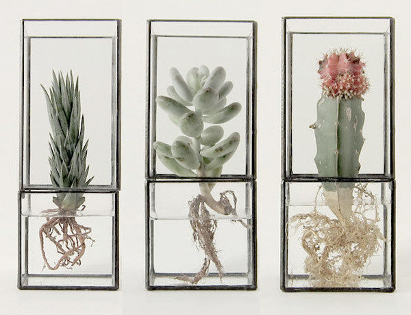 10¹² TERRA Hydro 140:80 Copper Terrarium