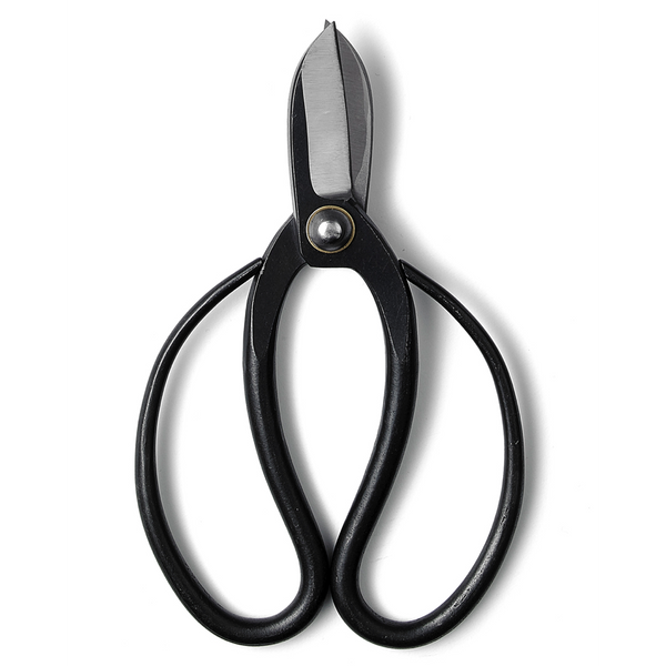 NEW Banshu Hamono Koryū Flower Scissors