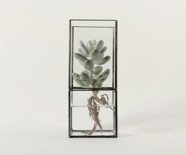 10¹² TERRA Hydro 140:80 Copper Terrarium